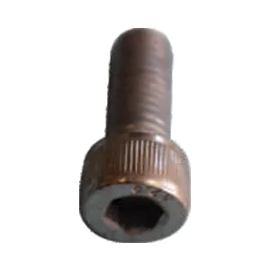 Allen Bolt