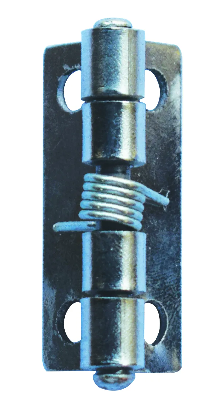 MS Spring Hinges
