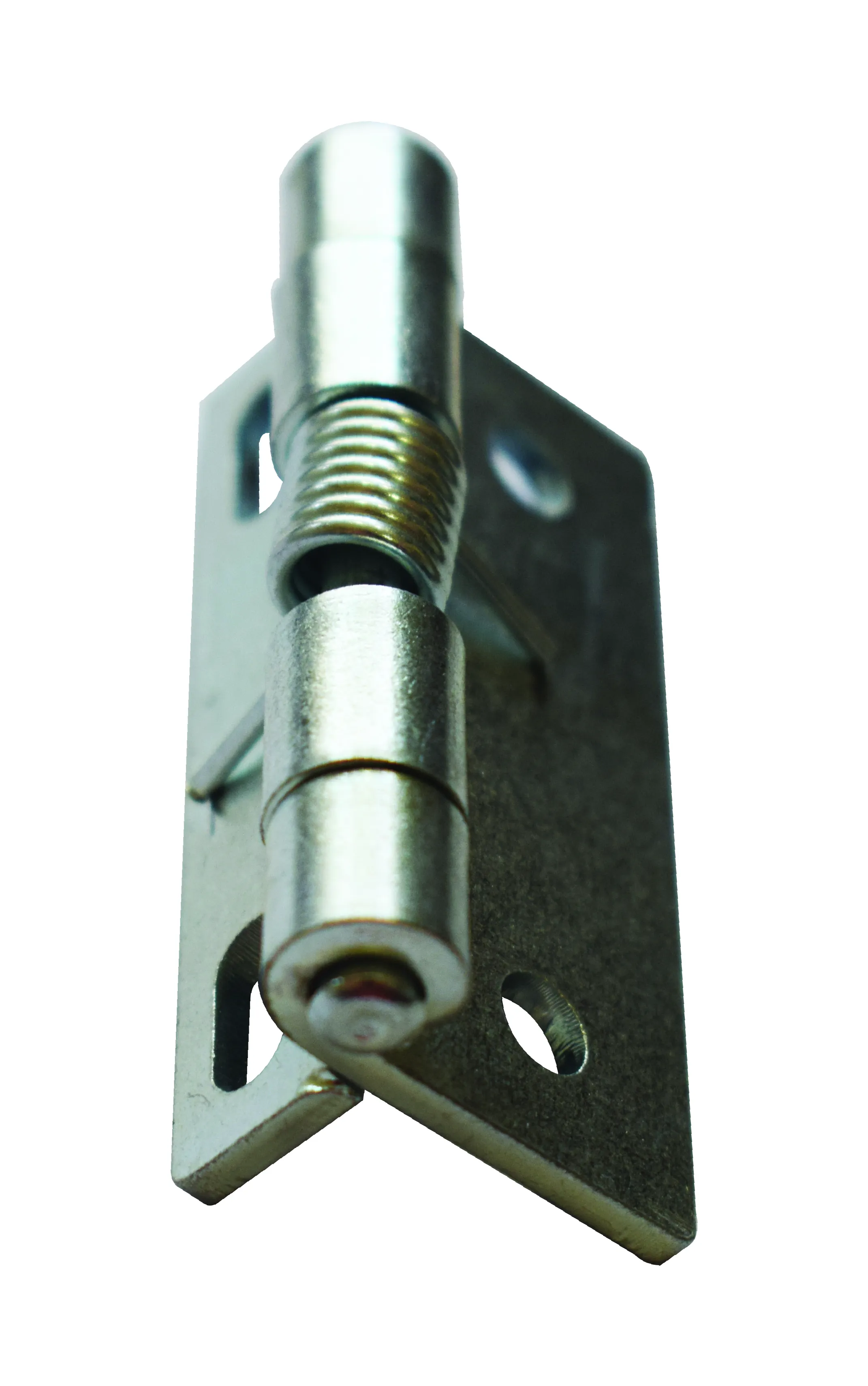 MS Spring Hinges