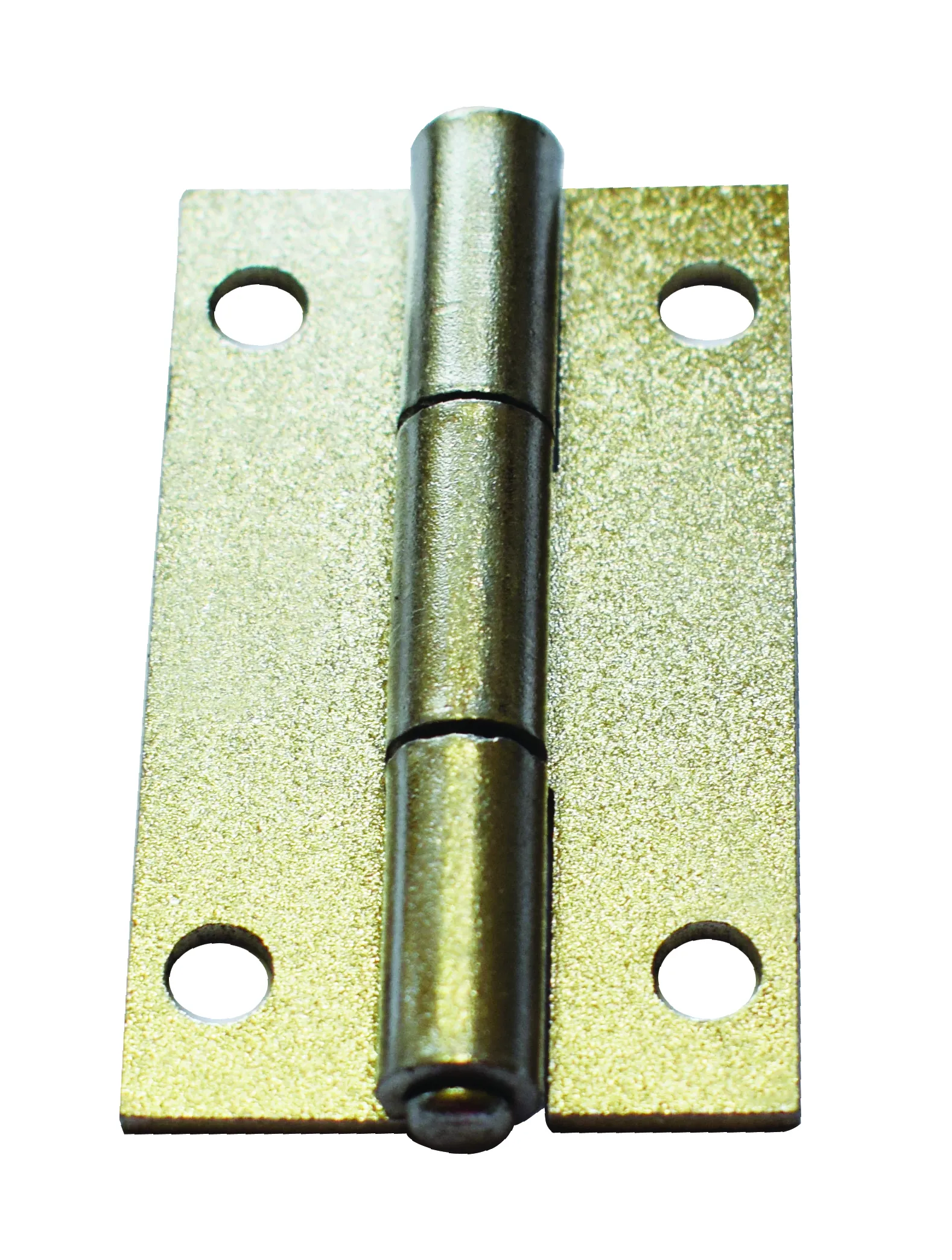 SS Flat Hinges