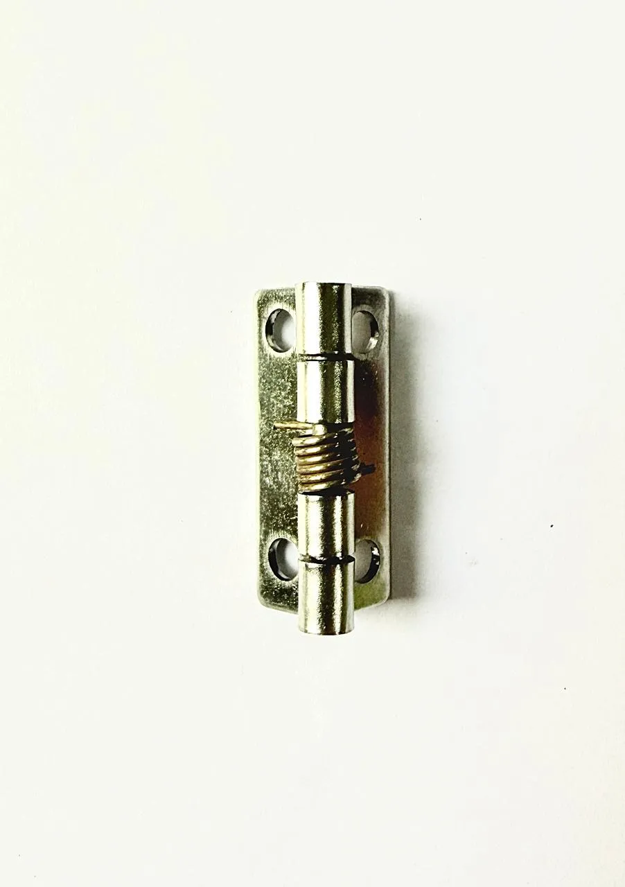 SS Spring Hinges