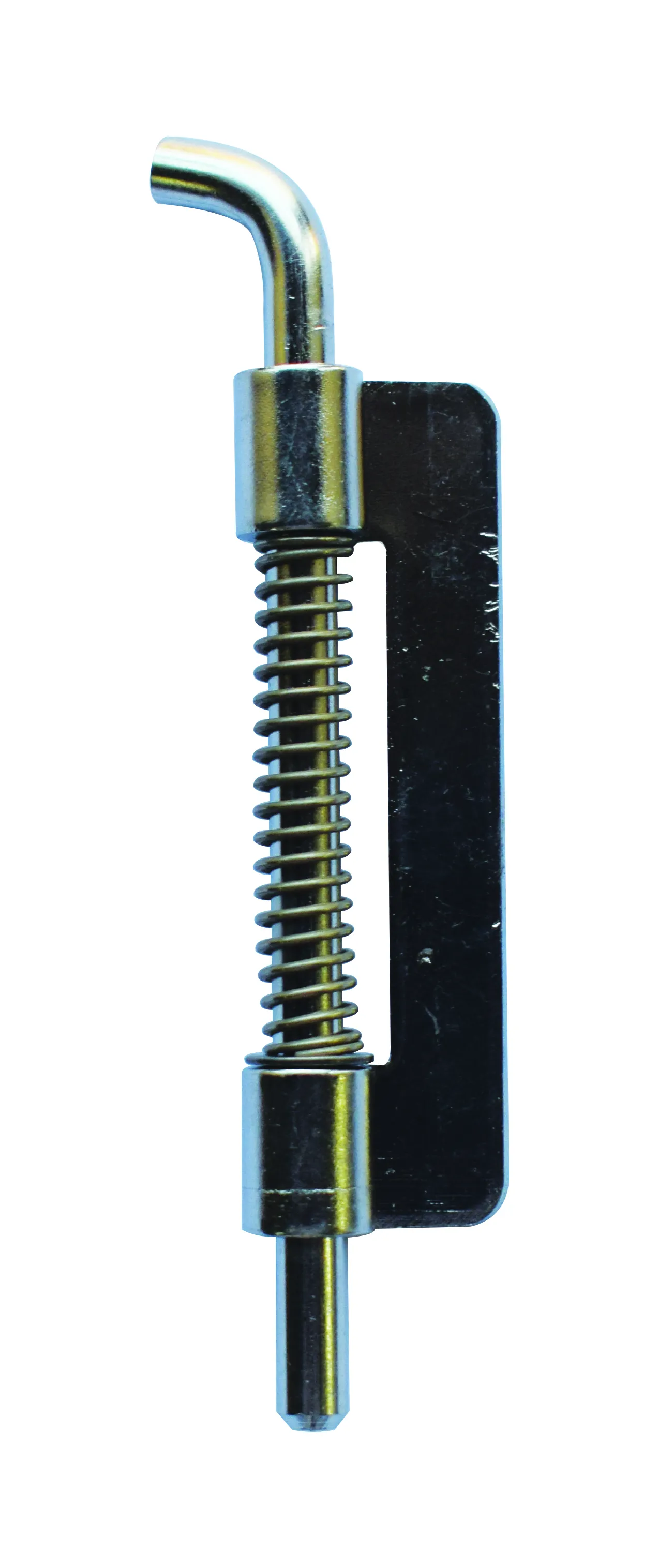 SS Spring Hinges