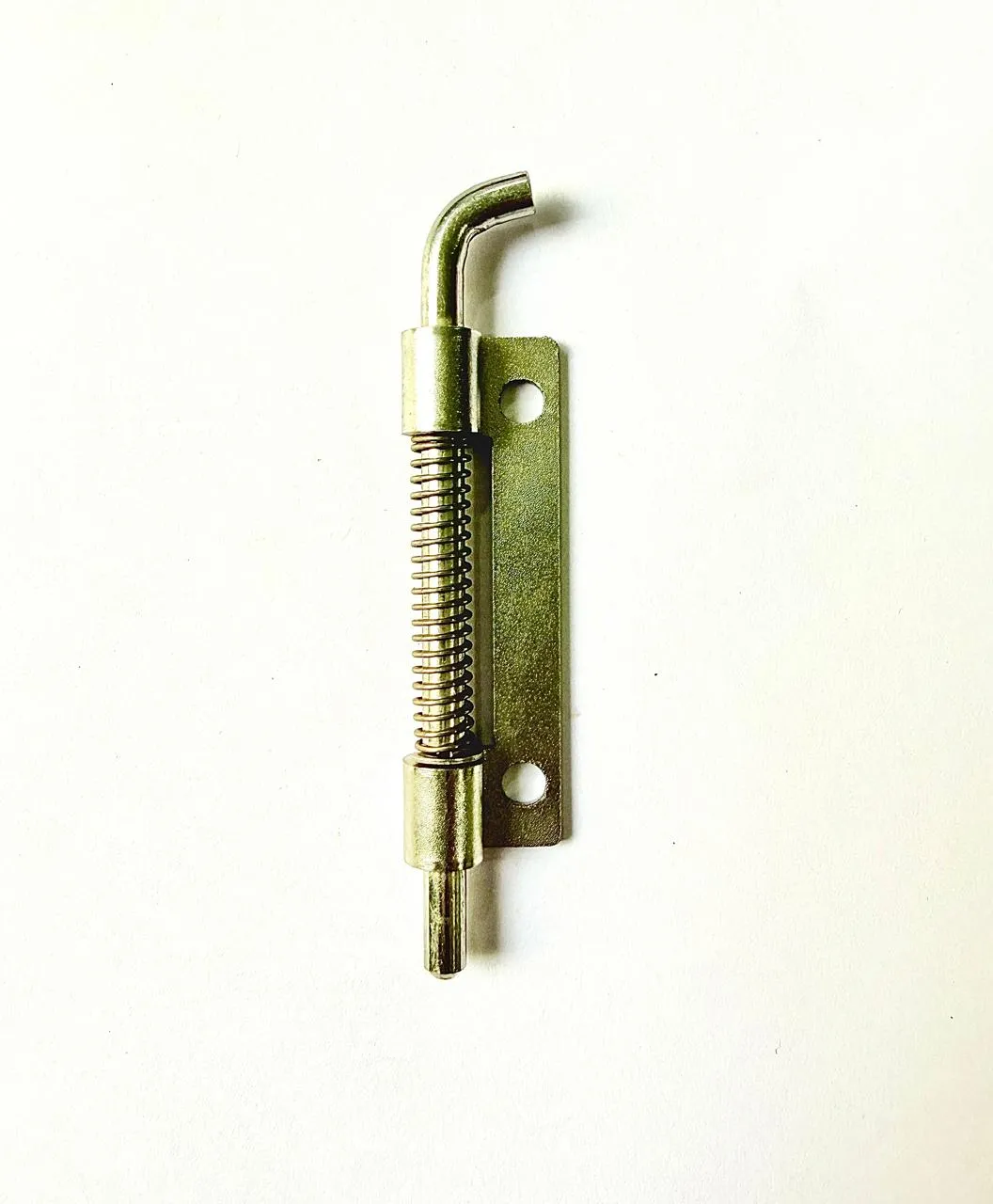 SS Spring Hinges